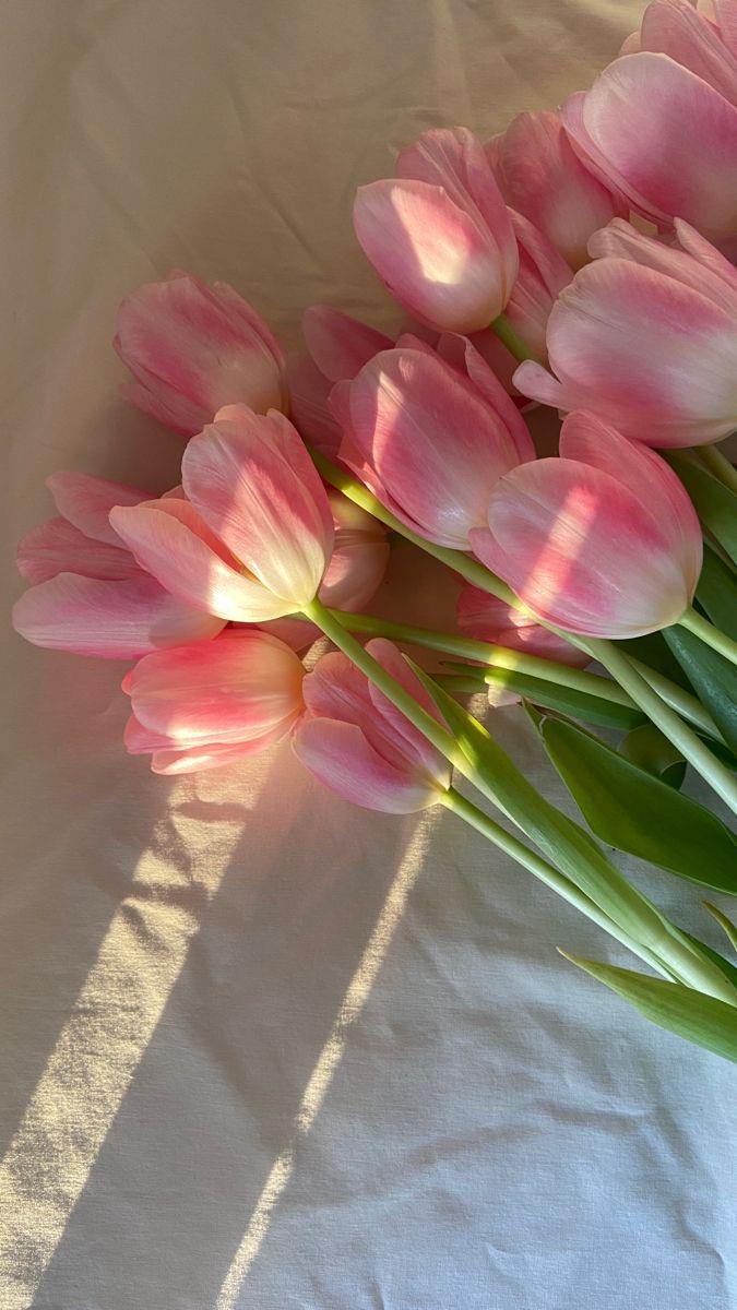 Gentle Embrace: Blooms of Serenity